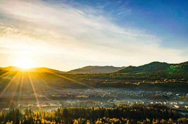 蟑螂藥：家里有蟑螂怎么辦？