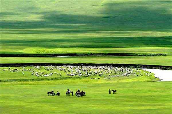 深圳家庭殺臭蟲服務(wù)價(jià)格，公司上門殺一次臭蟲多少錢？