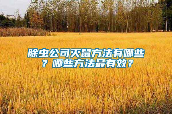 除蟲公司滅鼠方法有哪些？哪些方法最有效？