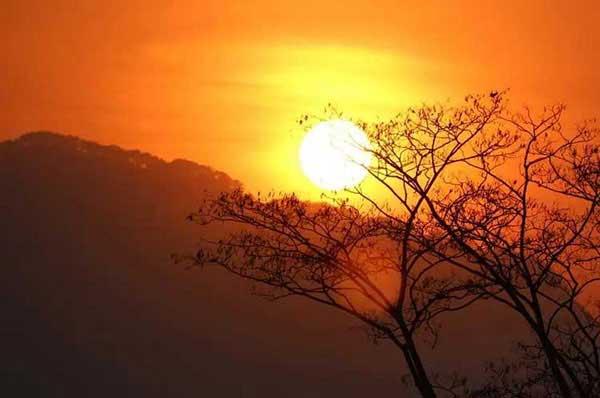 從生物學(xué)角度認(rèn)識(shí)病毒，掌握正確防疫姿勢(shì)