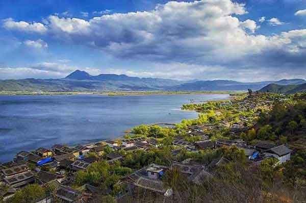 【深圳殺蟲滅鼠公司】如何才能消滅臭蟲?遠(yuǎn)離臭蟲?