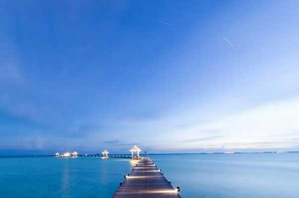 滅蟲公司,大家都需要