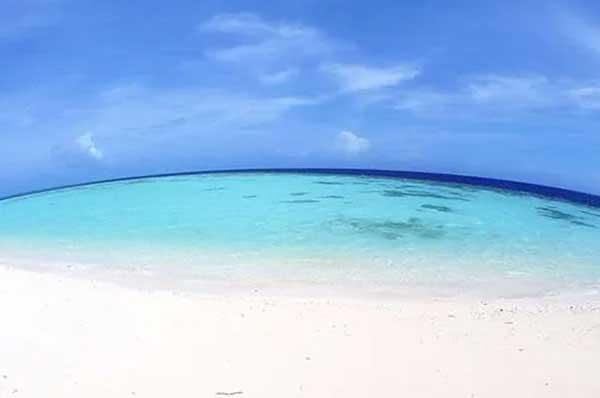 深圳殺蟲(chóng)公司介紹病毒的厲害