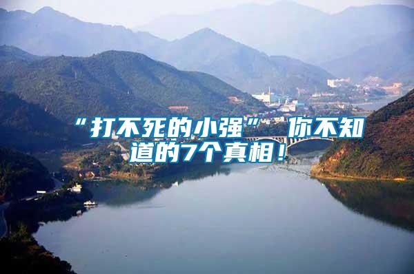 “打不死的小強(qiáng)” 你不知道的7個真相!