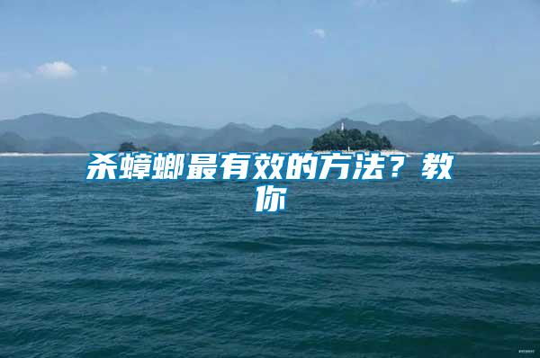 殺蟑螂最有效的方法?教你