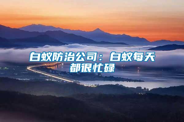 白蟻防治公司:白蟻每天都很忙碌