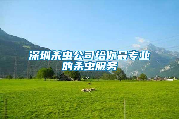 深圳殺蟲(chóng)公司給你最專(zhuān)業(yè)的殺蟲(chóng)服務(wù)