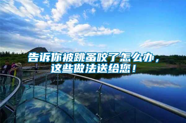 告訴你被跳蚤咬了怎么辦，這些做法送給您！