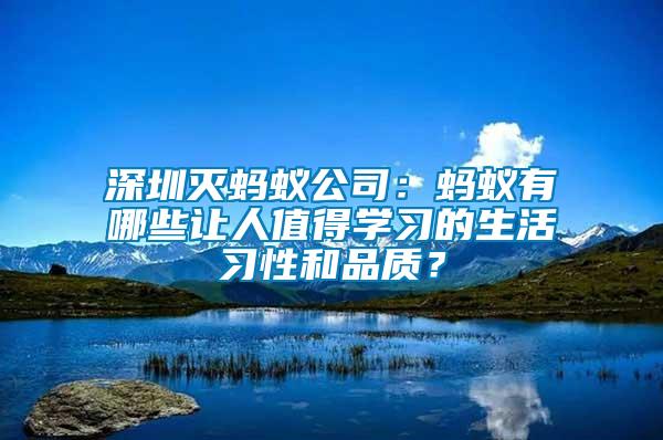 深圳滅螞蟻公司：螞蟻有哪些讓人值得學習的生活習性和品質？
