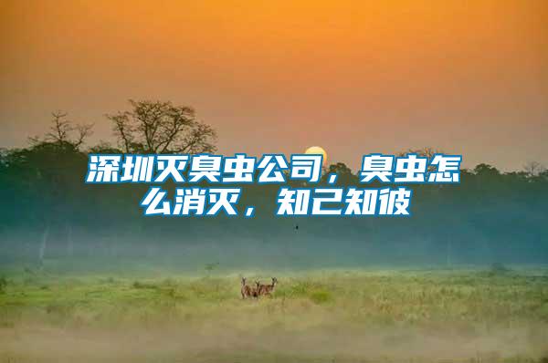 深圳滅臭蟲公司，臭蟲怎么消滅，知己知彼