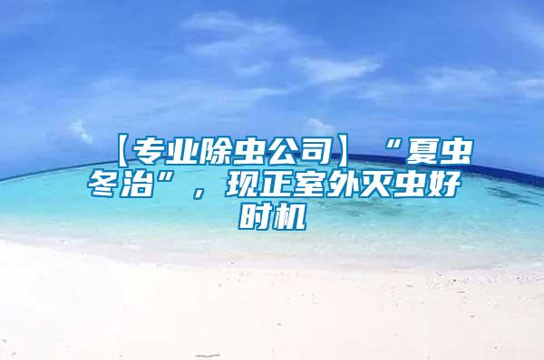 【專業(yè)除蟲(chóng)公司】“夏蟲(chóng)冬治”,現(xiàn)正室外滅蟲(chóng)好時(shí)機(jī)