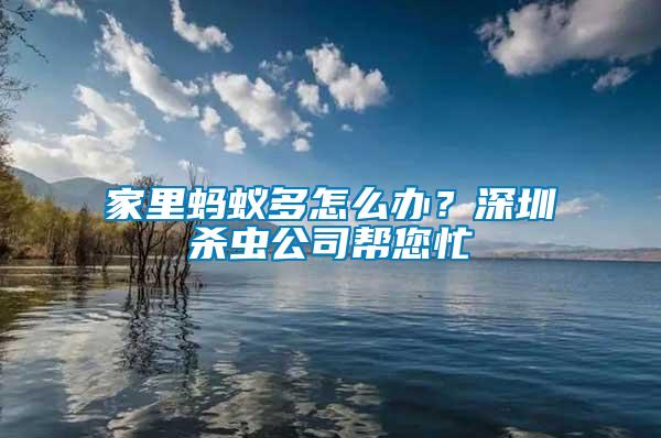 家里螞蟻多怎么辦？深圳殺蟲公司幫您忙