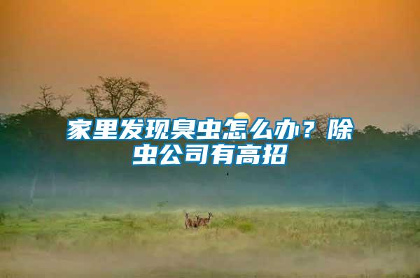 家里發現臭蟲怎么辦?除蟲公司有高招