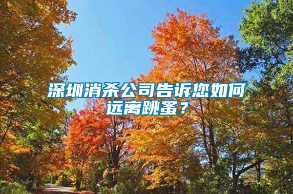 深圳消殺公司告訴您如何遠(yuǎn)離跳蚤?