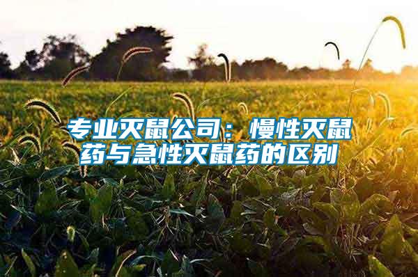 專業(yè)滅鼠公司:慢性滅鼠藥與急性滅鼠藥的區(qū)別