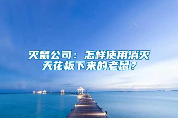 滅鼠公司：怎樣使用消滅天花板下來的老鼠？
