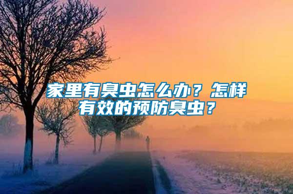 家里有臭蟲怎么辦?怎樣有效的預防臭蟲?