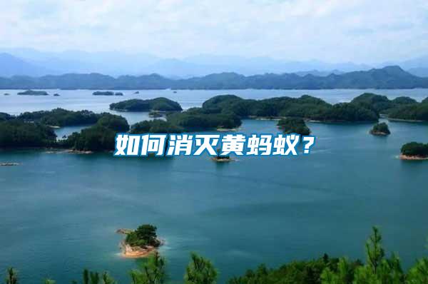 如何消滅黃螞蟻?