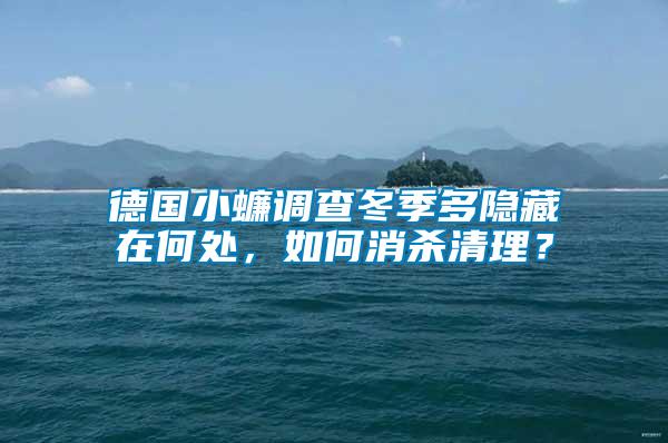 德國小蠊調查冬季多隱藏在何處，如何消殺清理？