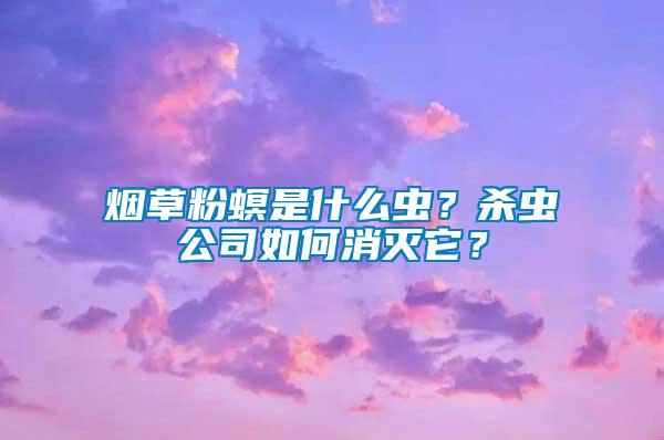 煙草粉螟是什么蟲?殺蟲公司如何消滅它?