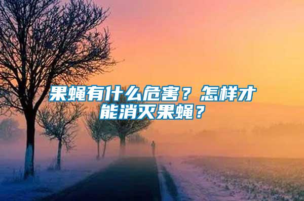 果蠅有什么危害?怎樣才能消滅果蠅?