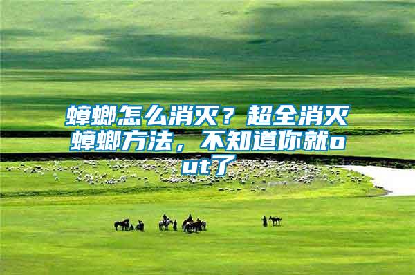 蟑螂怎么消滅？超全消滅蟑螂方法，不知道你就out了