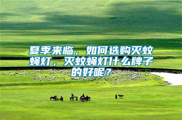 夏季來臨,如何選購滅蚊蠅燈,滅蚊蠅燈什么牌子的好呢?