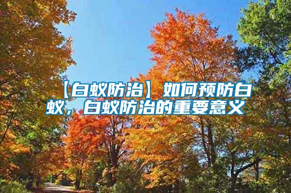 【白蟻防治】如何預防白蟻，白蟻防治的重要意義