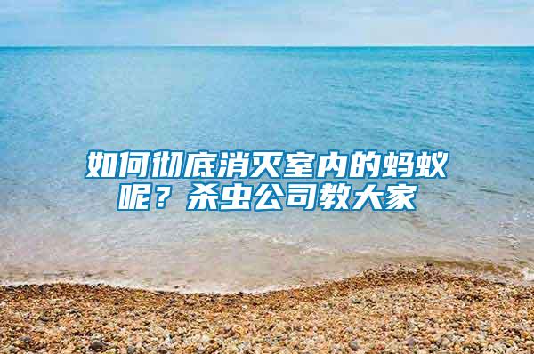 如何徹底消滅室內(nèi)的螞蟻呢？殺蟲(chóng)公司教大家