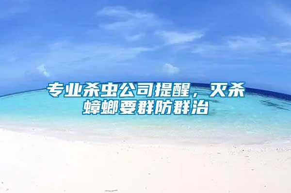 專業殺蟲公司提醒，滅殺蟑螂要群防群治