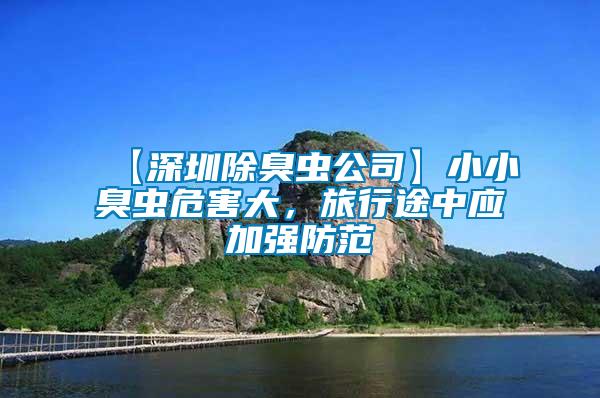 【深圳除臭蟲公司】小小臭蟲危害大,旅行途中應加強防范