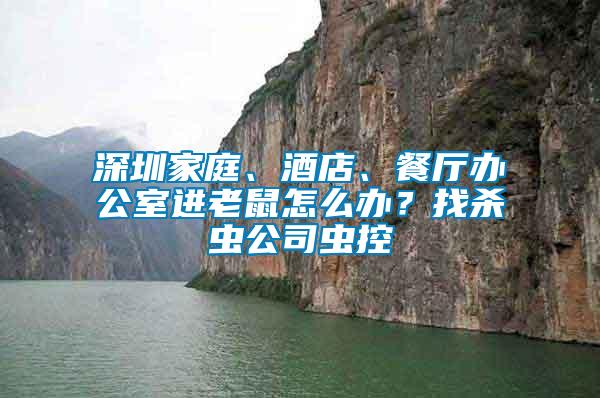深圳家庭、酒店、餐廳辦公室進(jìn)老鼠怎么辦?找殺蟲公司蟲控