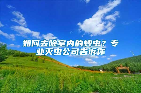 如何去除室內(nèi)的蜱蟲？專業(yè)滅蟲公司告訴你