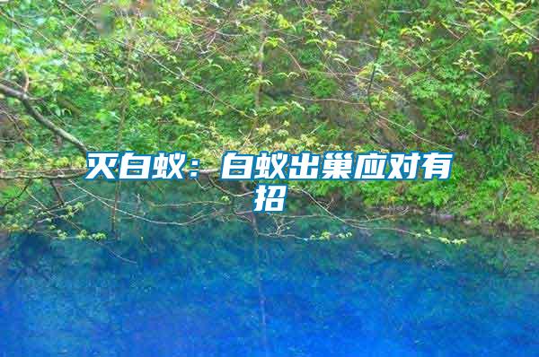 滅白蟻:白蟻出巢應對有招