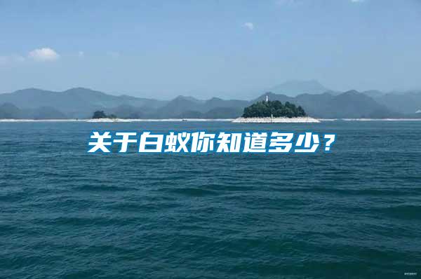 關(guān)于白蟻你知道多少?