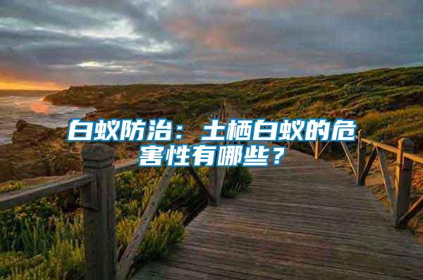 白蟻防治:土棲白蟻的危害性有哪些?