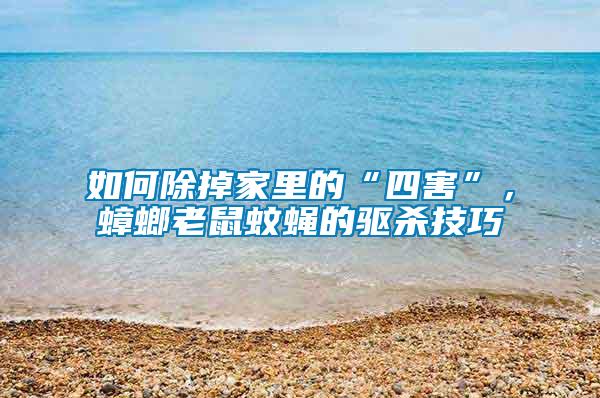 如何除掉家里的“四害”,蟑螂老鼠蚊蠅的驅殺技巧