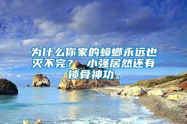 為什么你家的蟑螂永遠也滅不完? 小強居然還有鎖骨神功。