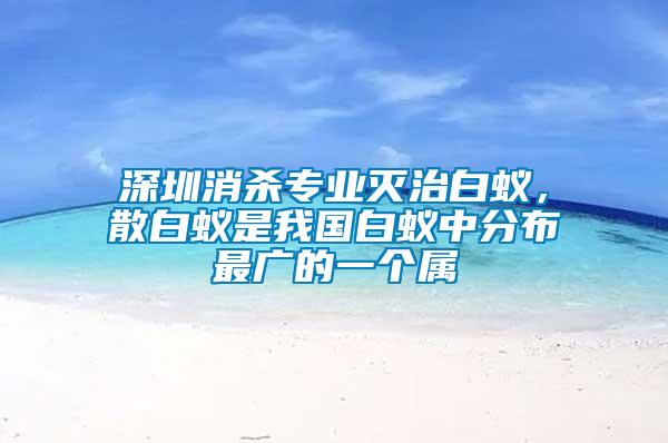 深圳消殺專業(yè)滅治白蟻,散白蟻是我國白蟻中分布最廣的一個屬