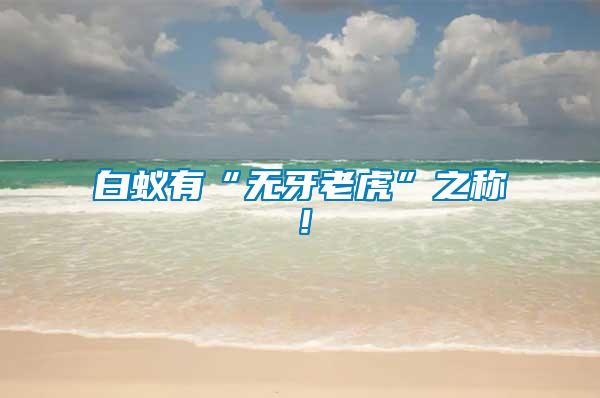 白蟻有“無(wú)牙老虎”之稱!