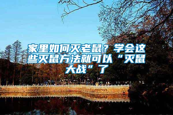 家里如何滅老鼠？學(xué)會這些滅鼠方法就可以“滅鼠大戰(zhàn)”了