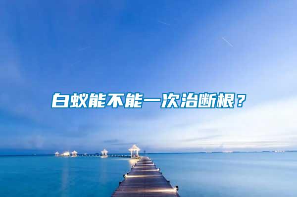 白蟻能不能一次治斷根？