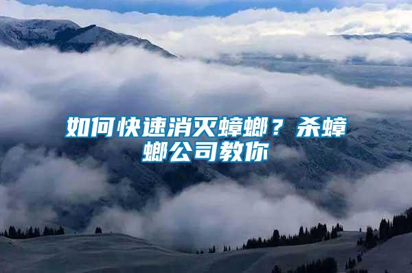 如何快速消滅蟑螂?殺蟑螂公司教你