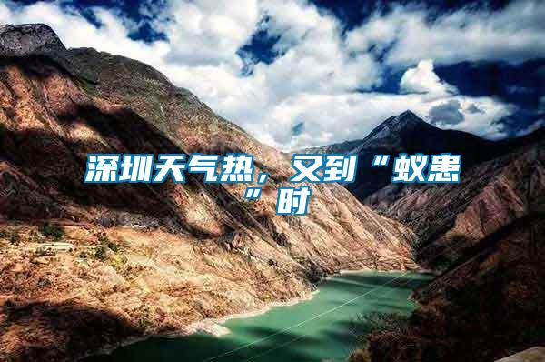 深圳天氣熱，又到“蟻患”時