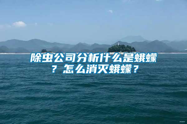 除蟲公司分析什么是蛾蠓?怎么消滅蛾蠓?
