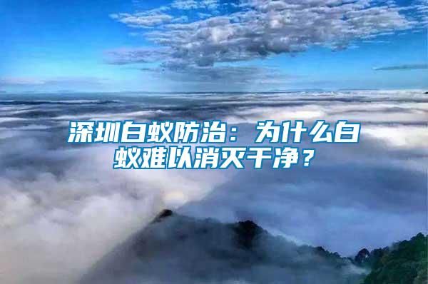 深圳白蟻防治:為什么白蟻難以消滅干凈?