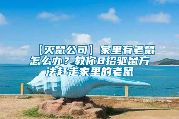 【滅鼠公司】家里有老鼠怎么辦?教你8招驅鼠方法趕走家里的老鼠