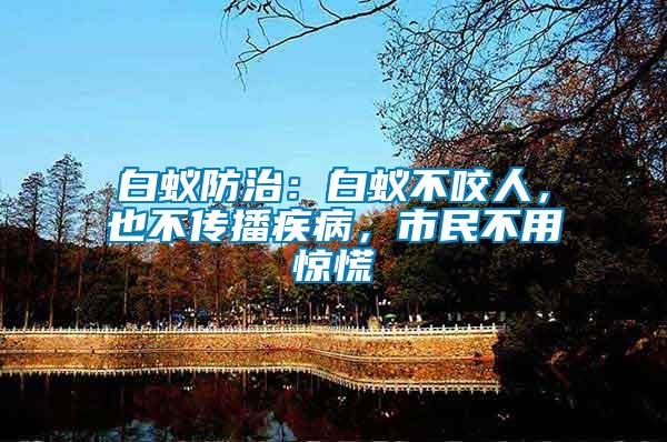 白蟻防治：白蟻不咬人，也不傳播疾病，市民不用驚慌