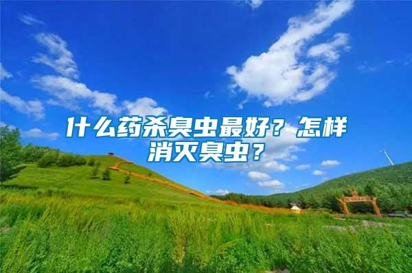 什么藥殺臭蟲最好?怎樣消滅臭蟲?