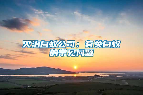 滅治白蟻公司:有關(guān)白蟻的常見問題